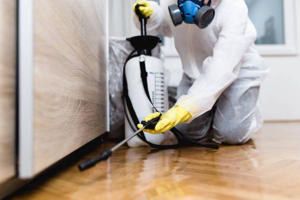 Best Residential Pest Control  in Pineland, TX