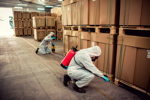 Best Wasp Removal Services  in Pineland, TX