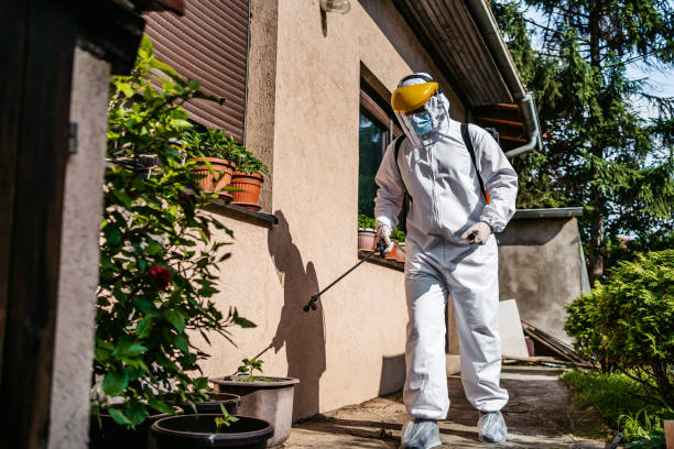 Best Emergency Pest Control  in Pineland, TX