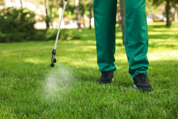 Wasp Removal Services in Pineland, TX