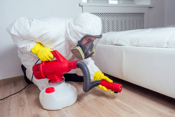 Best Bed Bug Extermination  in Pineland, TX