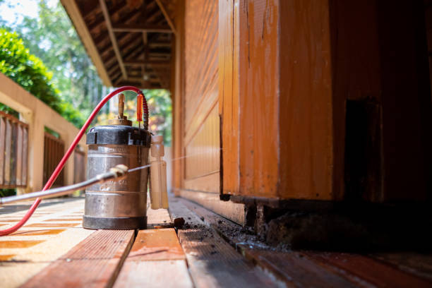 Best Affordable Pest Control Services  in Pineland, TX
