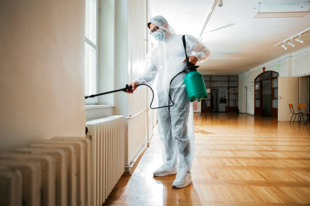 Best Affordable Pest Control Services  in Pineland, TX