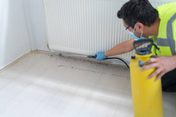 Best Residential Pest Control  in Pineland, TX