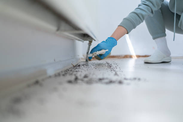 Best Best Pest Control Companies  in Pineland, TX